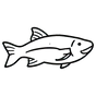 Wild Fish Oil