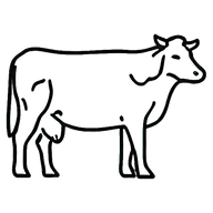 Lean Beef