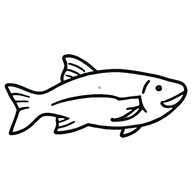Wild Fish Oil