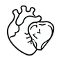 Beef Heart & Liver